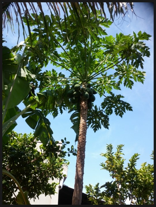 30d132fd7a748e8cc3d1cf18b167a954_1454552