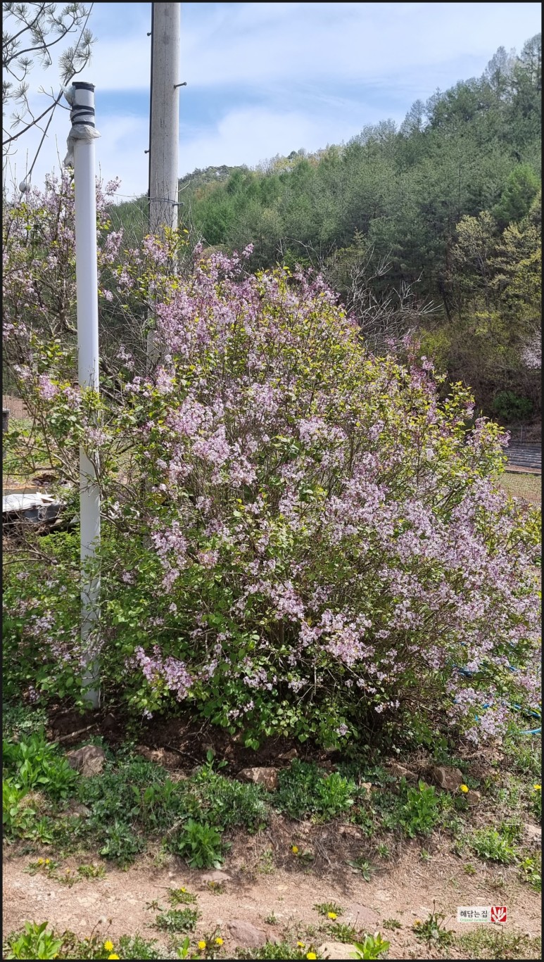 966b9a0aea413c9bb68558bb5fa7fa74_1682304