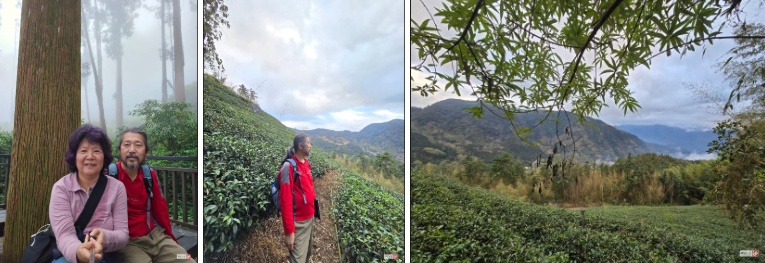 6da239864e6a4ca0c793c6247a91373d_1737347