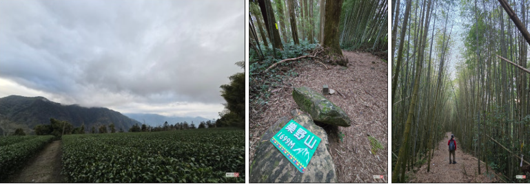 6da239864e6a4ca0c793c6247a91373d_1737347