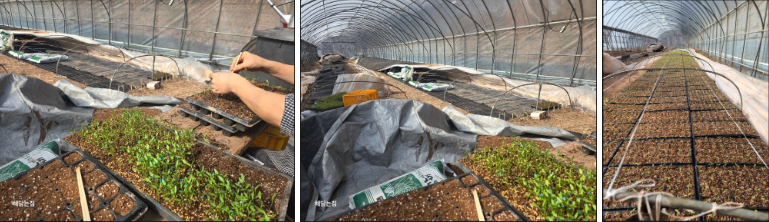 30317b3fed424a6896088e8dfb88e81d_1739759307_1828.png 30317b3fed424a6896088e8dfb88e81d_1739759