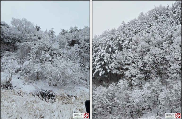 21119a3f413703ca1fd04f9471560162_1742783