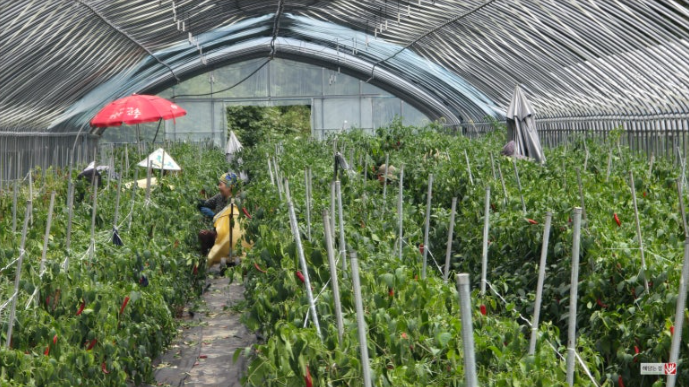 467e4e0f55b75aef1a4b70c14d2947bd_1756688